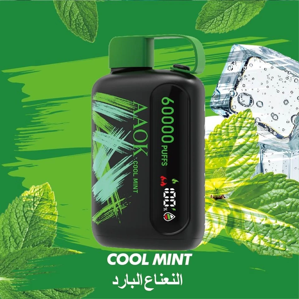 AAOK 60000 Puffs Disposable Vape factory