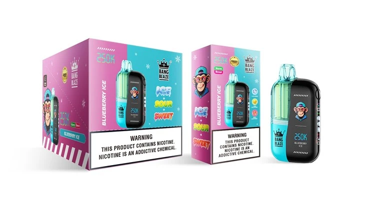 BANG BLAZE 250K Puffs Disposable Vape factory