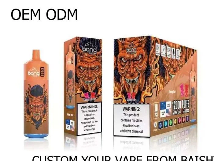 Bang Box 12000 Puffs Disposable Vape factory