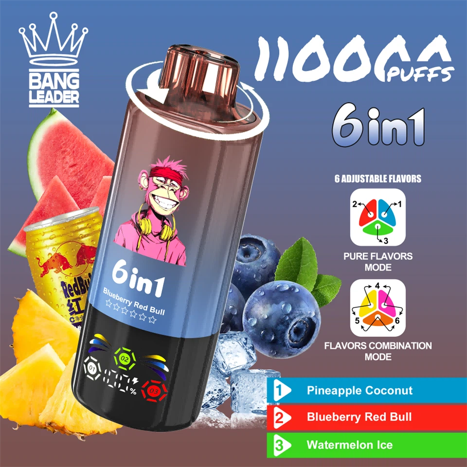 BANG LEADER 110K 6 in 1 Disposable Vape best