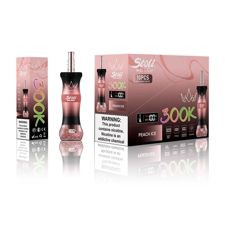 BANG LEADER 300k Puffs Disposable Vape factory