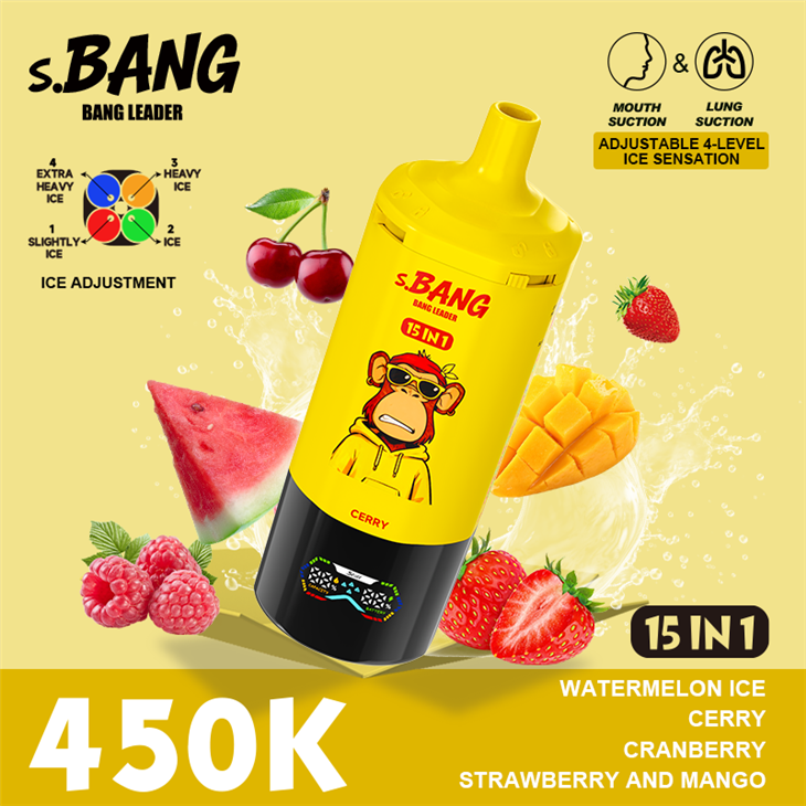 BANG LEADER 450K New Vape