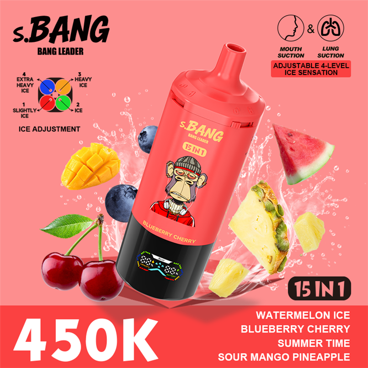 BANG LEADER 450K PUFFS 15 IN 1 VAPE best
