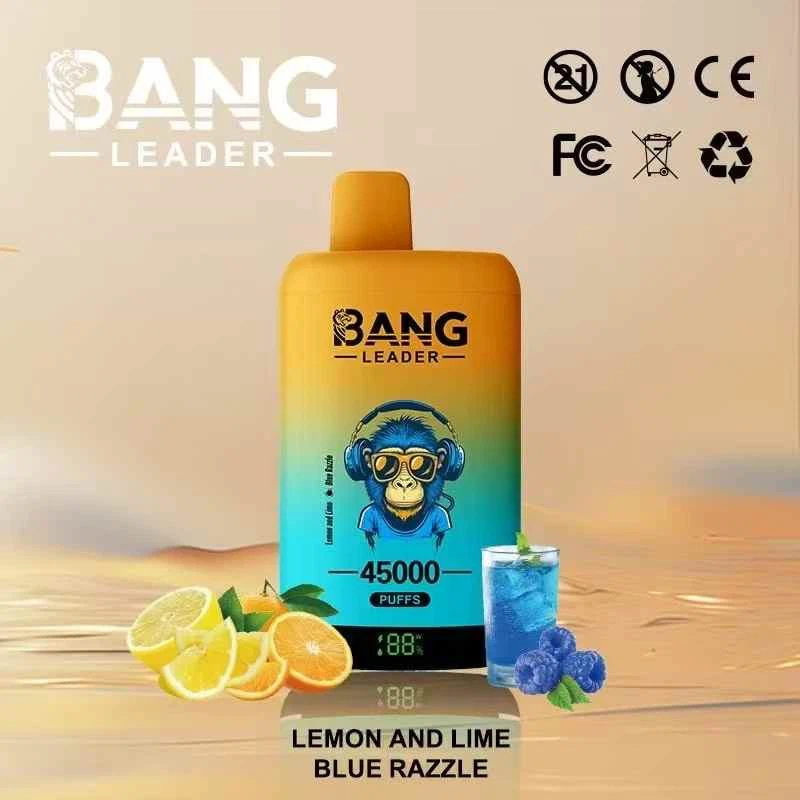 Bang Leader 45K Puff Vape Europe Warehouse Cheap Bluetooth 20ML Archer 60K 500 Elfbar IceKing 30k 40k BC PRO 40k Puffs Empty Vape best