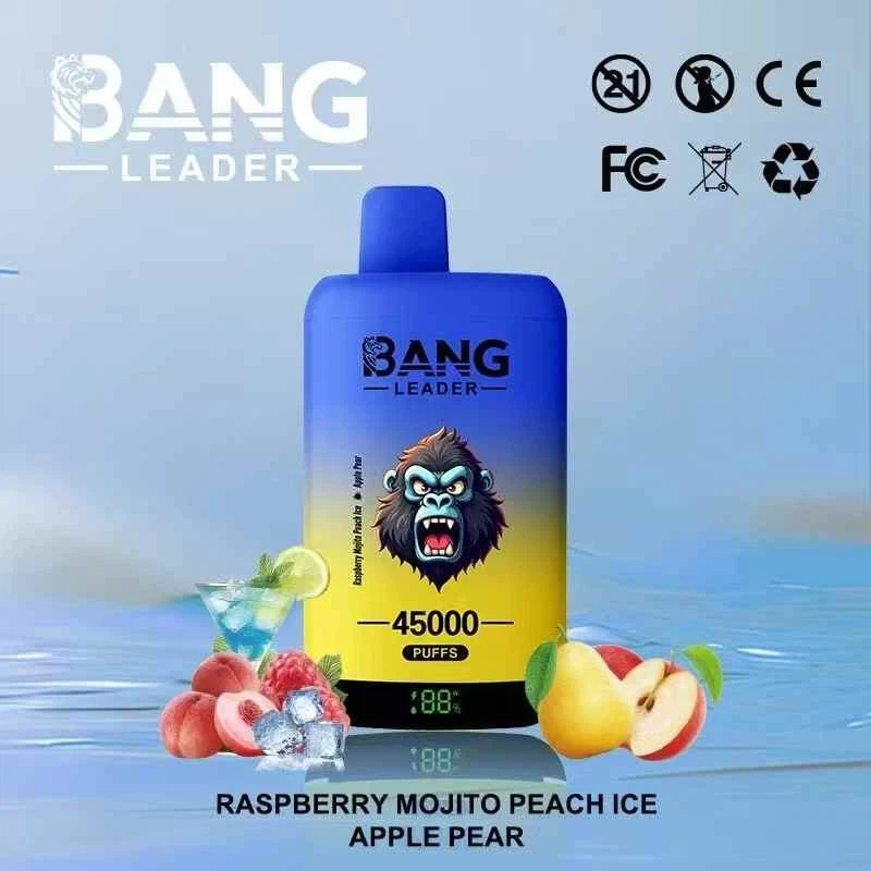 Bang Leader 45K Puff Vape Europe Warehouse Cheap Bluetooth 20ML Archer 60K 500 Elfbar IceKing 30k 40k BC PRO 40k Puffs Empty Vape suppliers
