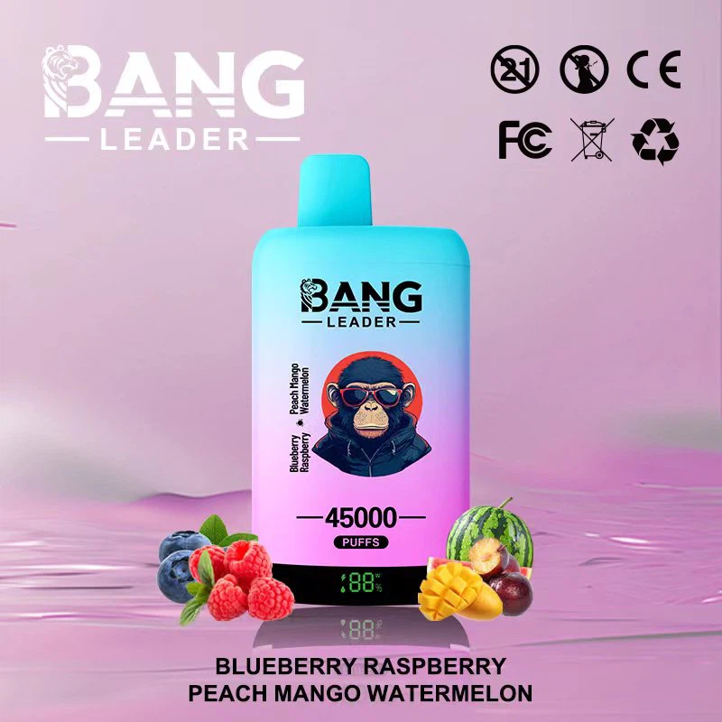 Bang Leader 45K Puff Vape Europe Warehouse Cheap Bluetooth 20ML Archer 60K 500 Elfbar IceKing 30k 40k BC PRO 40k Puffs Empty Vape