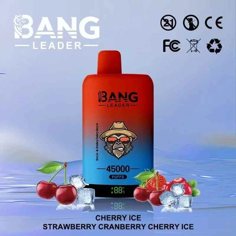 Bang Leader 45K Puff Vape Europe Warehouse Cheap Bluetooth 20ML Archer 60K 500 Elfbar IceKing 30k 40k BC PRO 40k Puffs Empty Vape high quality