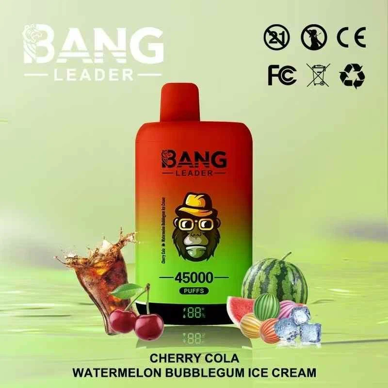 Bang Leader 45K Puff Vape Europe Warehouse Cheap Bluetooth 20ML Archer 60K 500 Elfbar IceKing 30k 40k BC PRO 40k Puffs Empty Vape price