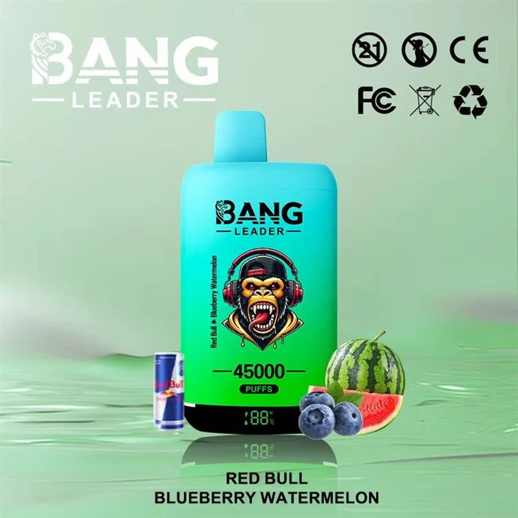 Bang Leader 45K Puff Vape Spanish Flavors Limon Lime Mega Box Pro 50k Jnr Shisha Hookah Supermax 99999 9000 Jnr Joker EU Vape E-Cigarette Vape high quality