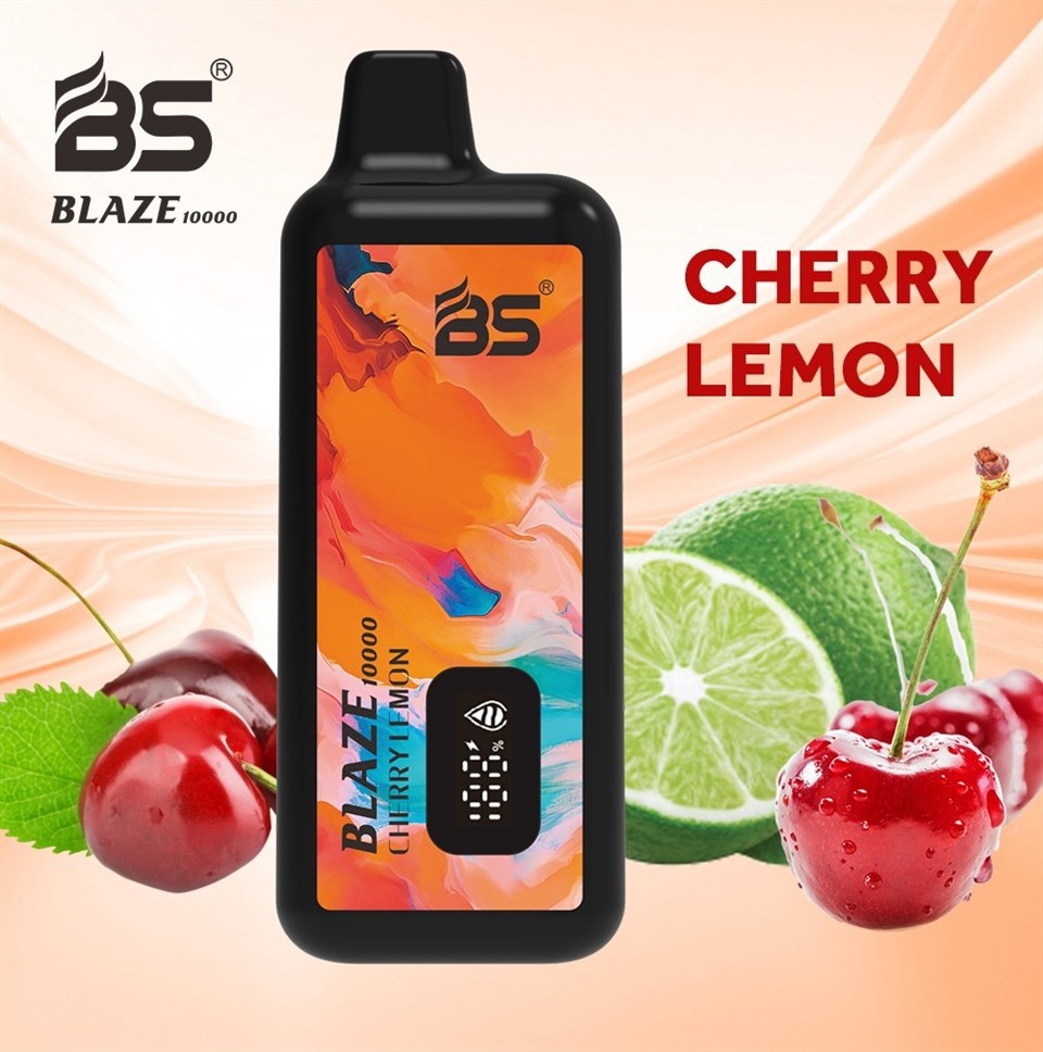 Blaze BS10000 Puff Disposable Vape best