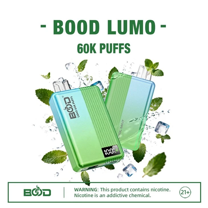 -bood lumo 60k puff vape-Cool Mint