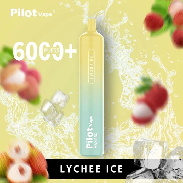 Pilot Max Pro 6000 Puffs Disposable Vape high quality