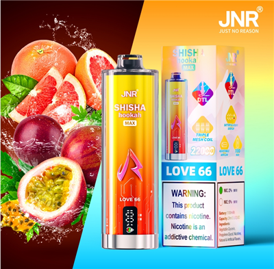 Jnr Shisha Hookah Max 22K Puff Rechargeable Disposable Vape