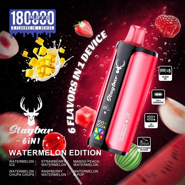 Stagbar 6 IN 1 180K Puffs