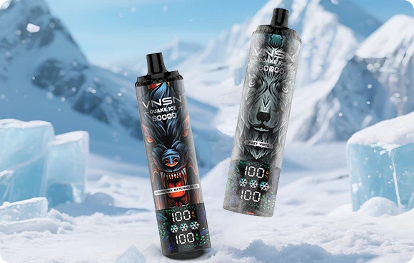 VNSN QUAKE ICE 50000 Disposable Vape in Stock